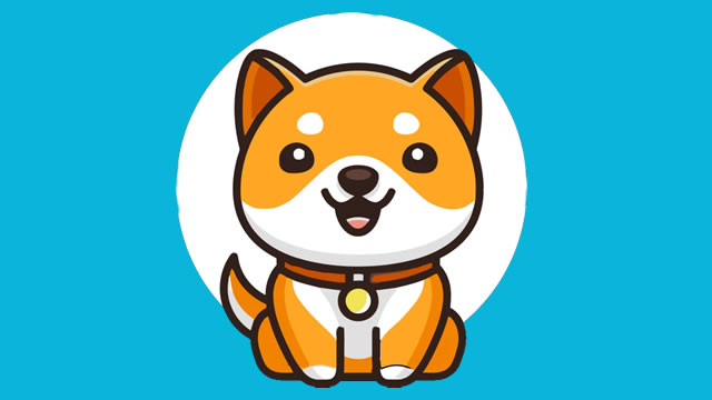 Baby Doge Coin Price Prediction 2021