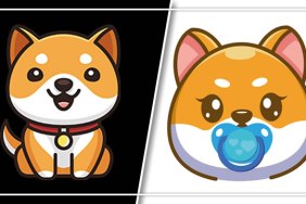 What's the price prediction for Baby Doge Coin?