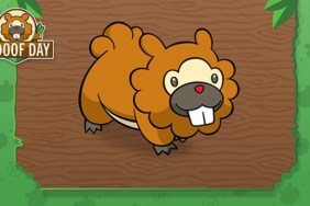 Bidoof Special Delivery