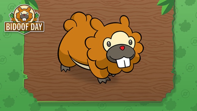 Bidoof Special Delivery