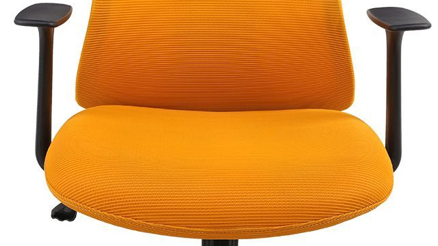 Flexi-Chair Oka Office Chair BS9 Review