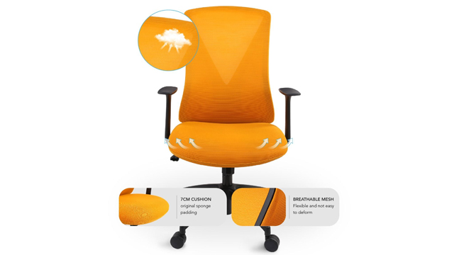 Flexi-Chair Oka Office Chair BS9 Review