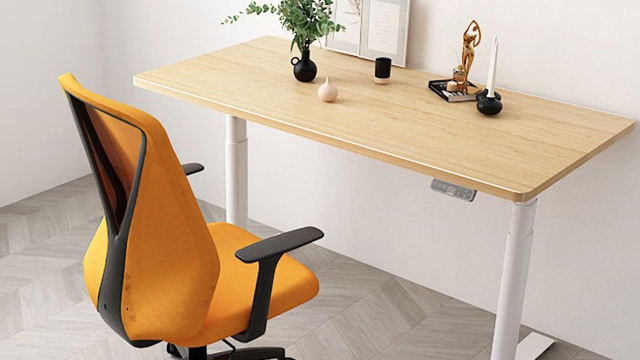 Flexi-Chair Oka Office Chair BS9 Review