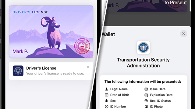 Apple Wallet drivers license id state list