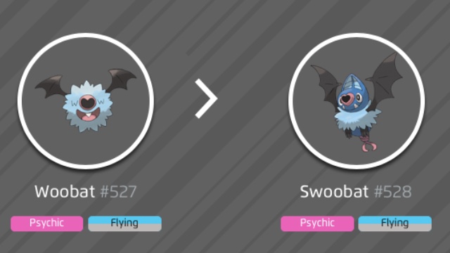 how to evolve woobat