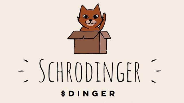 Schrodinger (DINGER) crypto tokens explained