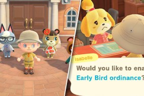 Animal Crossing New Horizons ordinance choice