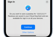 iPhone iOS 16 How do Passkeys work