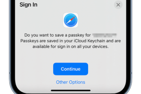 iPhone iOS 16 How do Passkeys work