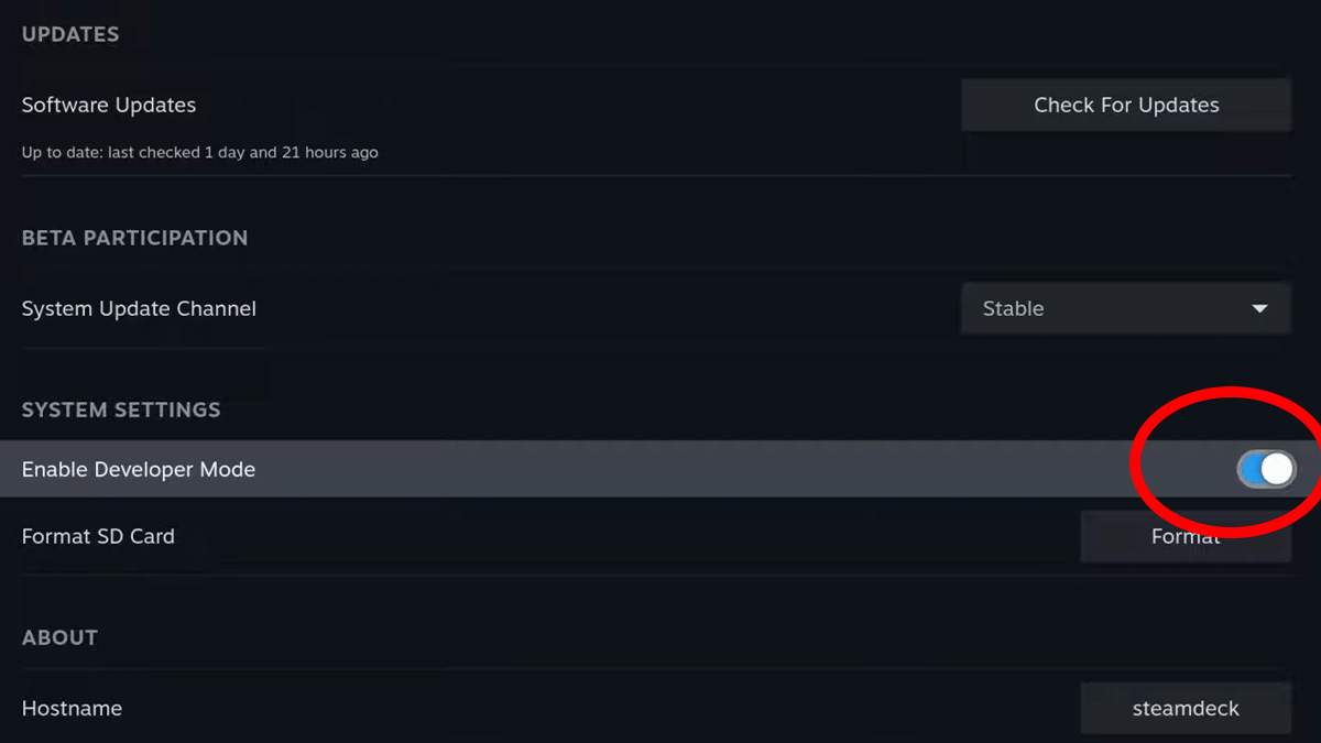 Steam Deck enable developer mode