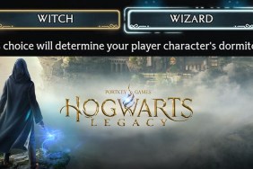Hogwarts Legacy Witch or Wizard Dormitory Choice