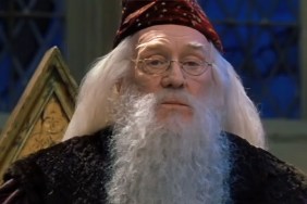 Is Dumbledore in Hogwarts Legacy