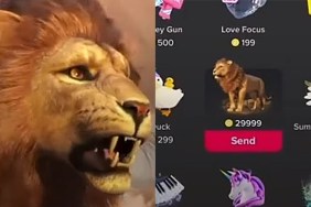 TikTok Lions Price