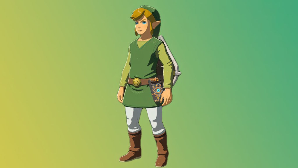 Zelda Tears of the Kingdom Wind Waker outfit Hero of Wind set