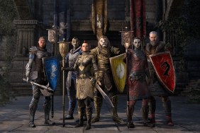 The Elder Scrolls Online: fantasy characters, including a Khajiit and an Orc, stand to attention while holding shields and weapons.