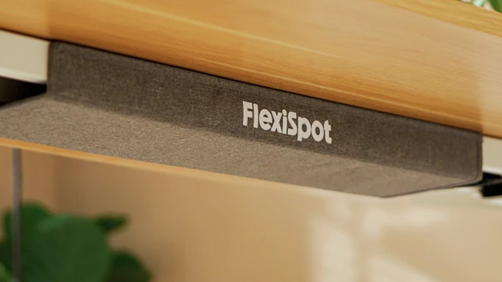 FlexiSpot E9 review