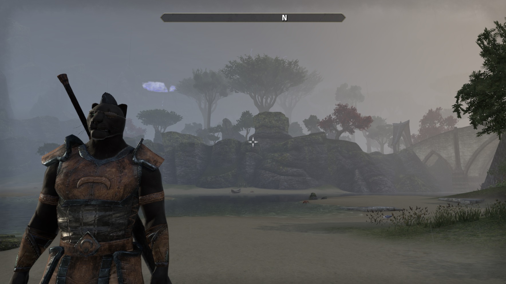 The Elder Scrolls Online Screenshots #9