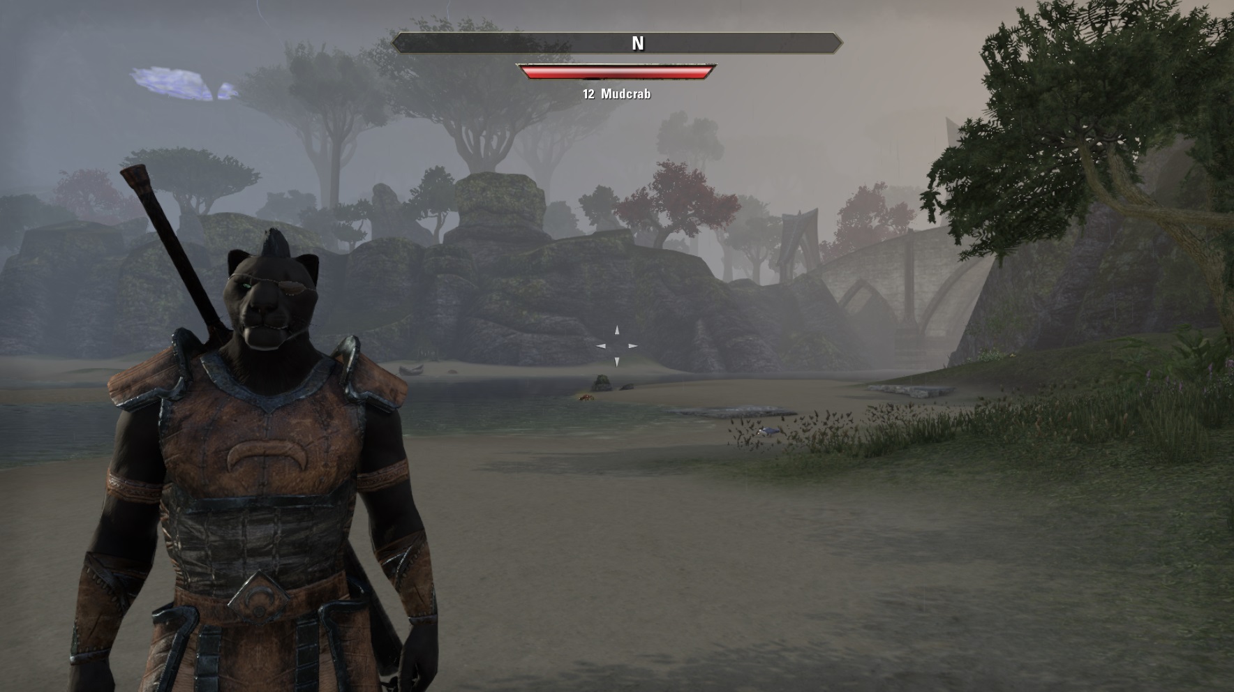 The Elder Scrolls Online Screenshots #10