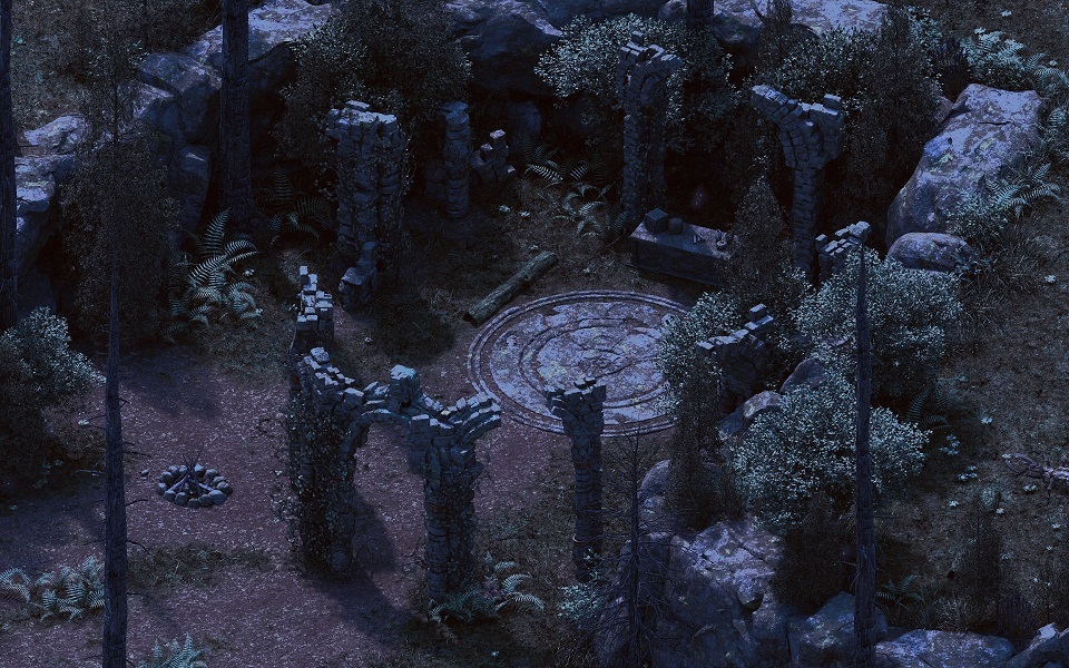 Pillars of Eternity Review #3