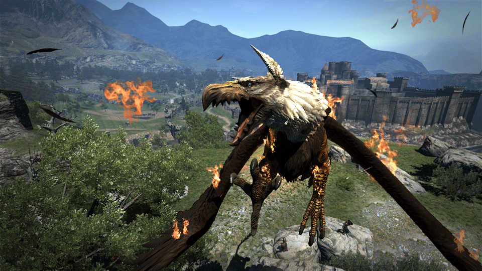 Dragon's Dogma PC #5