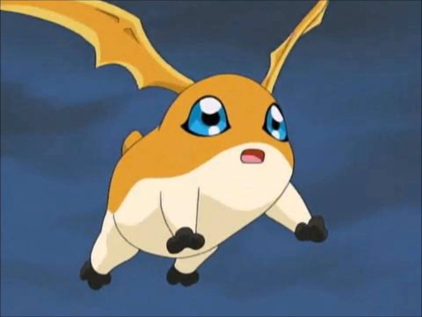 15. Patamon