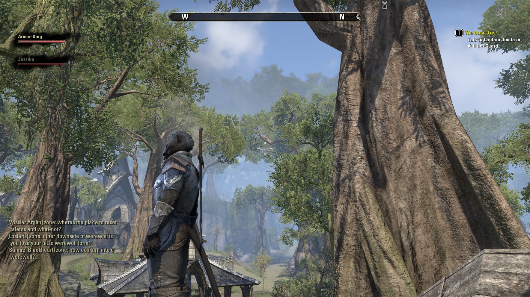 The Elder Scrolls Online Review Screenshots #12