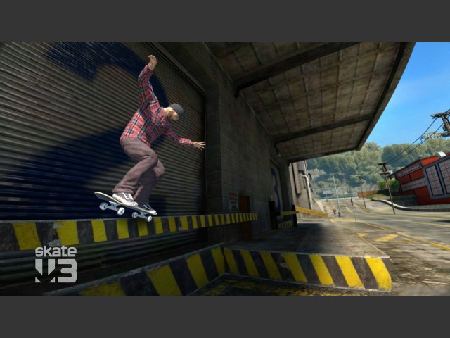 skate-3 #3